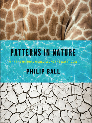 cover image of Patterns in Nature